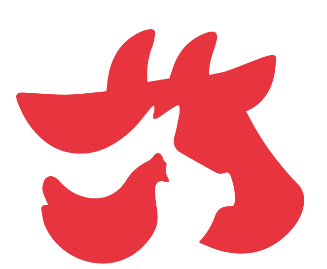 CODIPLAN website